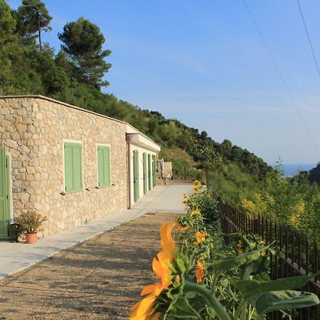 Il Casotto Del Nonno Διαμέρισμα Βεντιμίλια Εξωτερικό φωτογραφία