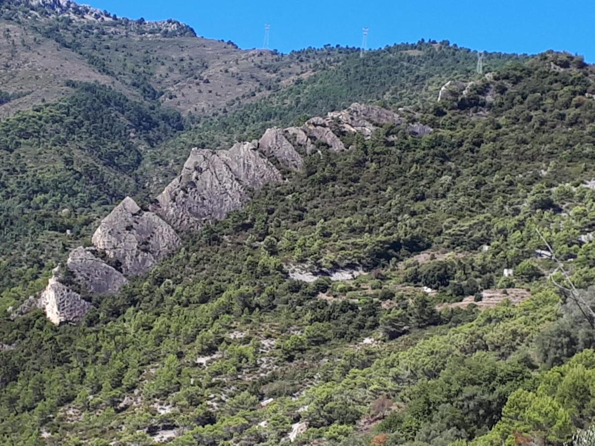 Il Casotto Del Nonno Διαμέρισμα Βεντιμίλια Εξωτερικό φωτογραφία