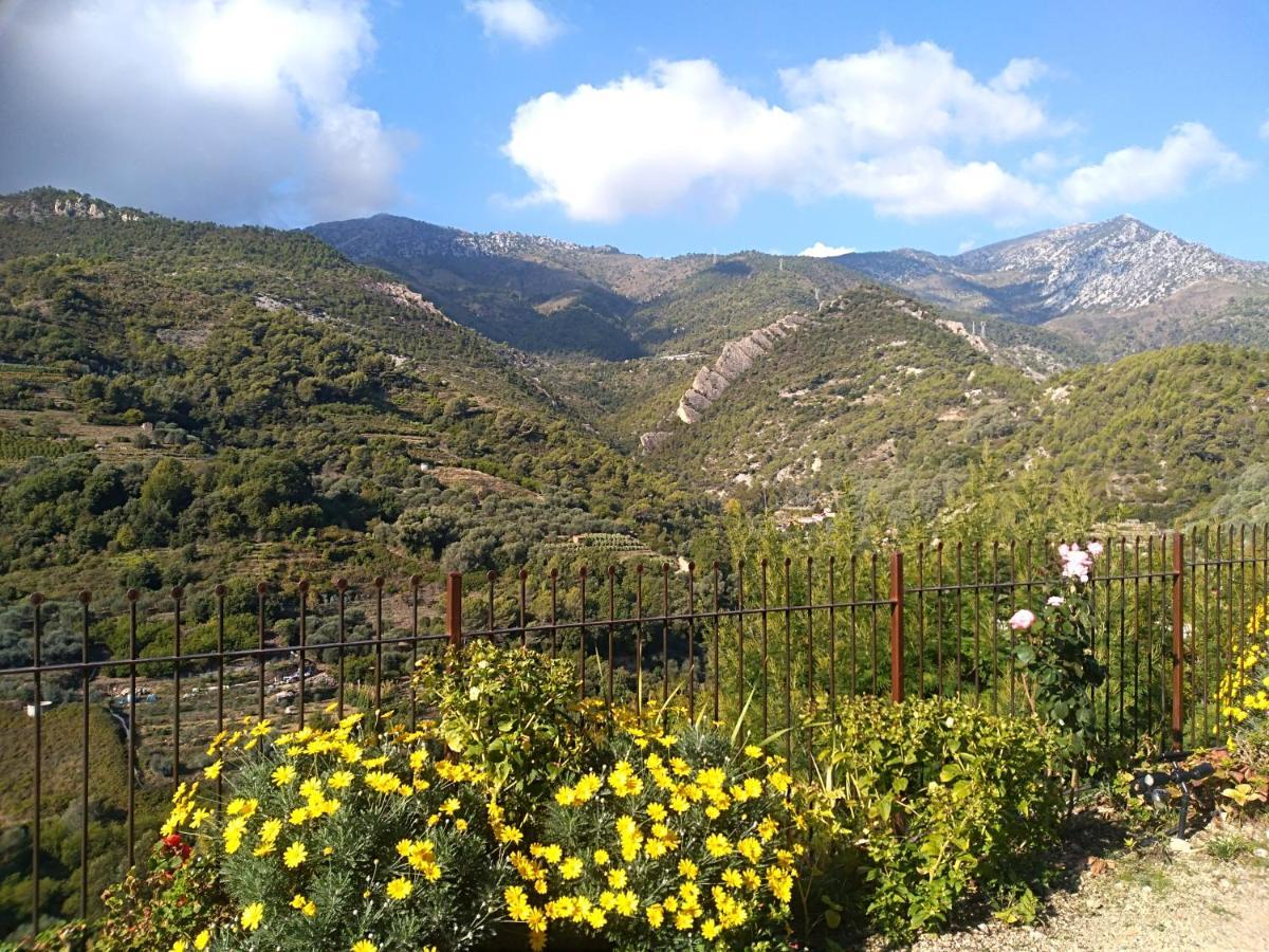 Il Casotto Del Nonno Διαμέρισμα Βεντιμίλια Εξωτερικό φωτογραφία