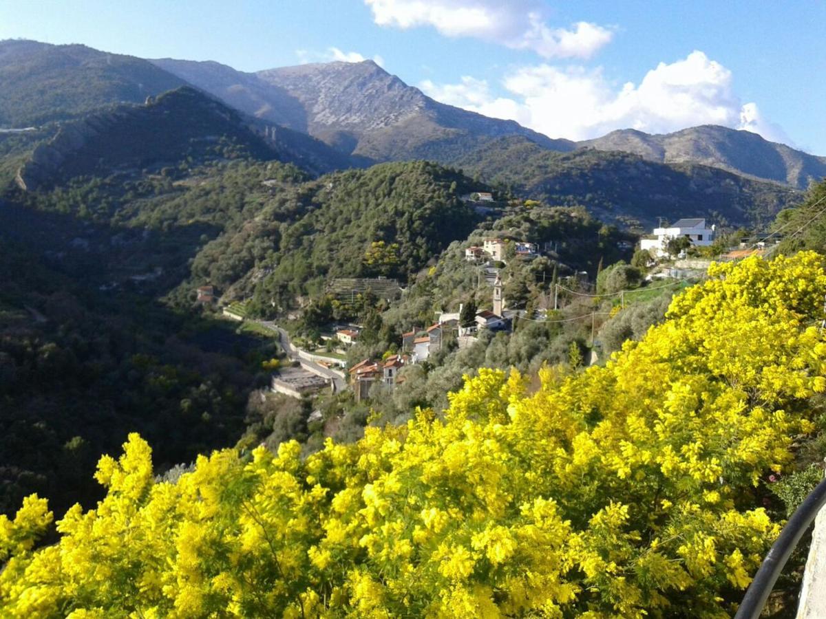 Il Casotto Del Nonno Διαμέρισμα Βεντιμίλια Εξωτερικό φωτογραφία
