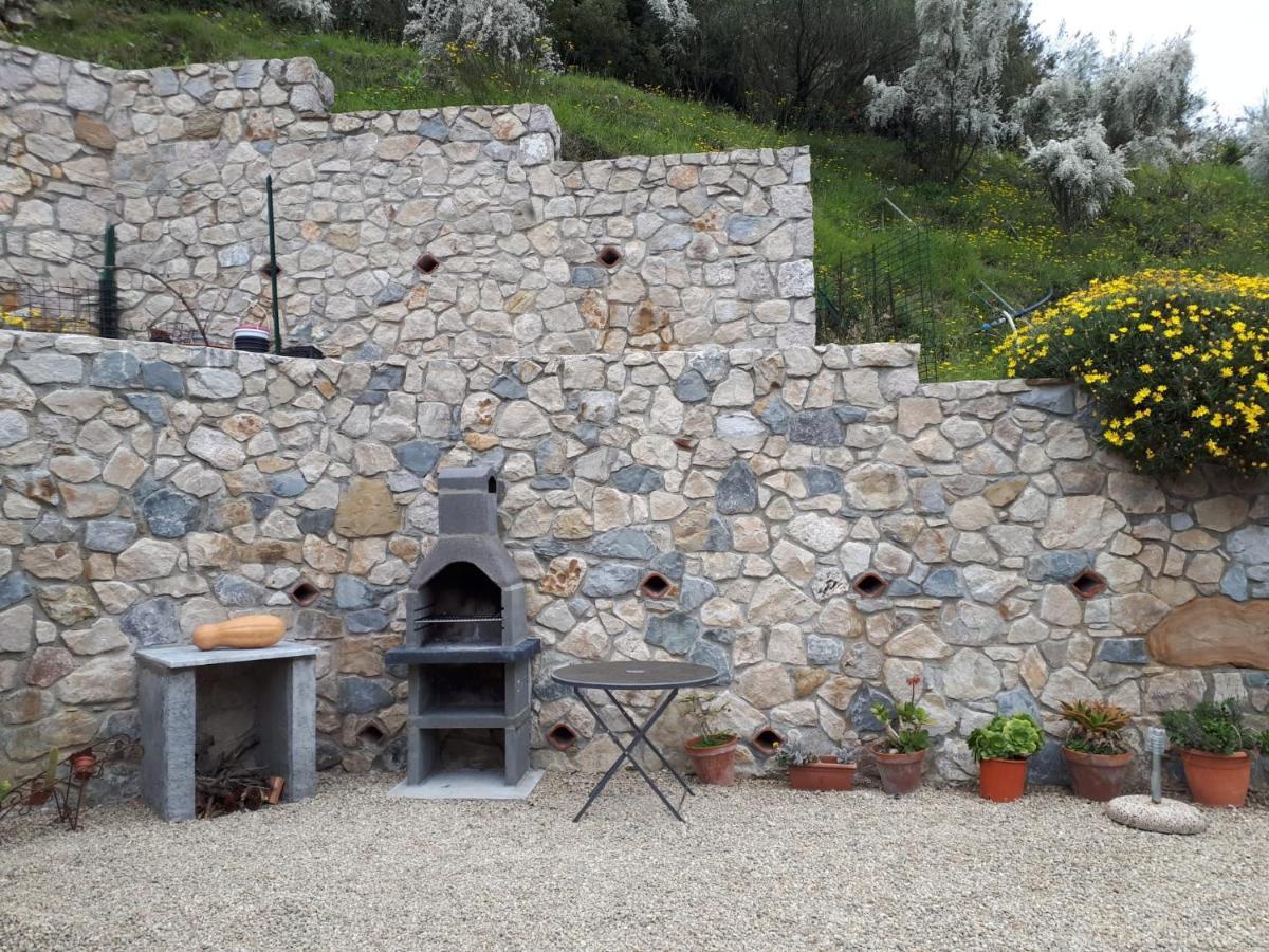 Il Casotto Del Nonno Διαμέρισμα Βεντιμίλια Εξωτερικό φωτογραφία